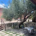 Rosa Vila Canicattini Bagni