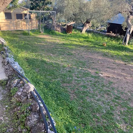 Rosa Canicattini Bagni